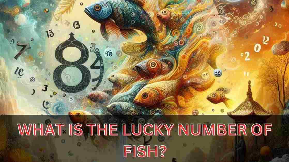 Fish Dream Lucky Number And Interpretations