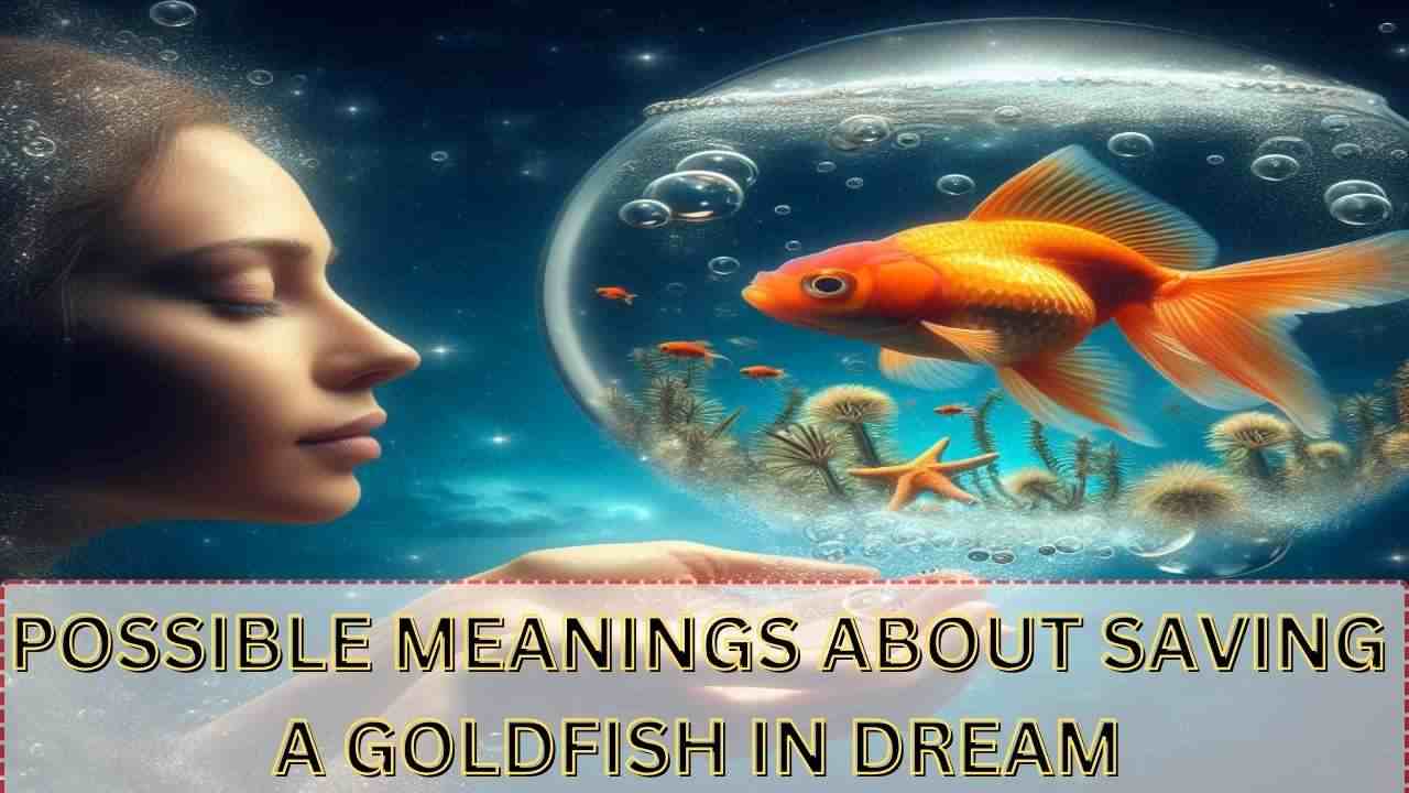 Possible Meanings About Saving a Goldfish in Dream