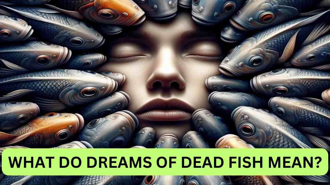 What Do Dreams of Dead Fish Mean