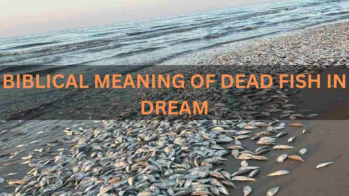biblical meaning of dead fish in dream
