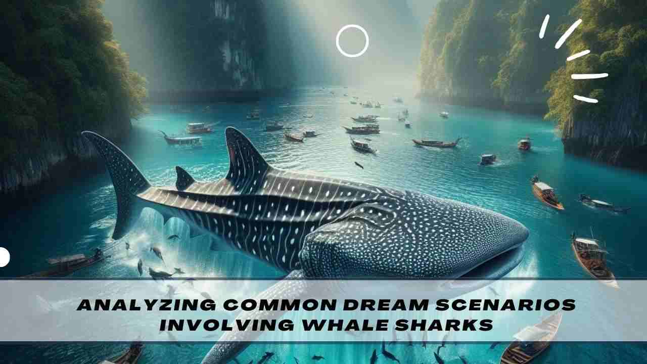 Analyzing Common Dream Scenarios Involving Whale Sharks