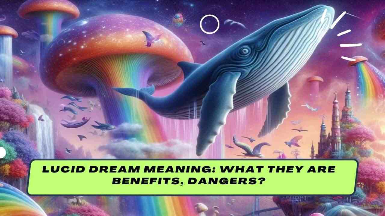 Lucid Dream Meaning