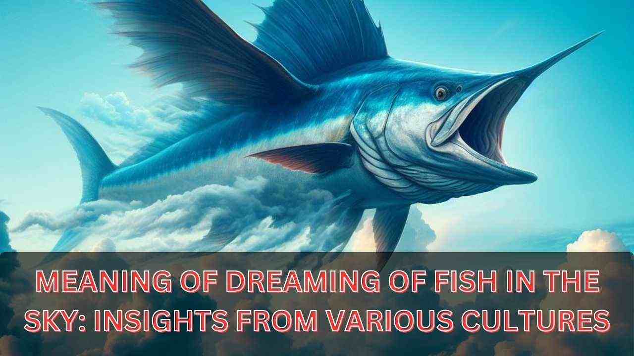 Meaning of Dreaming of Fish in the Sky from Various Cultures