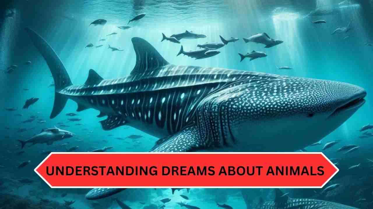 Understanding Dreams about Animals