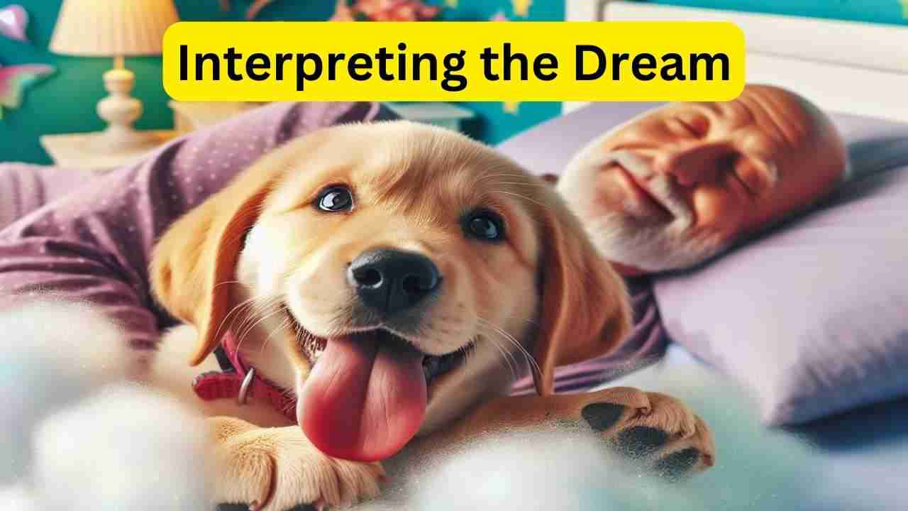 Interpreting the Dream