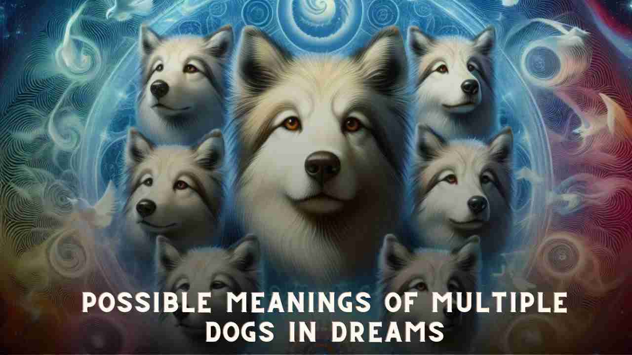 Possible Meanings of Multiple Dogs in Dreams
