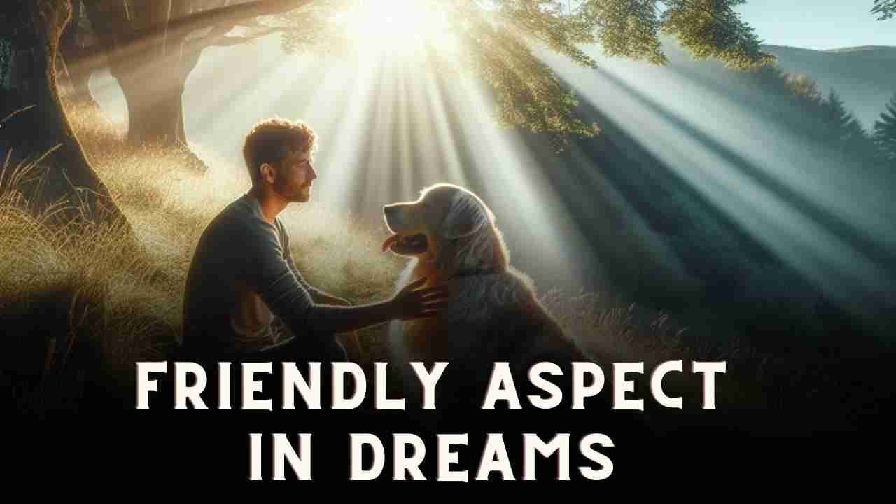 Understanding the Friendly Aspect in Dreams