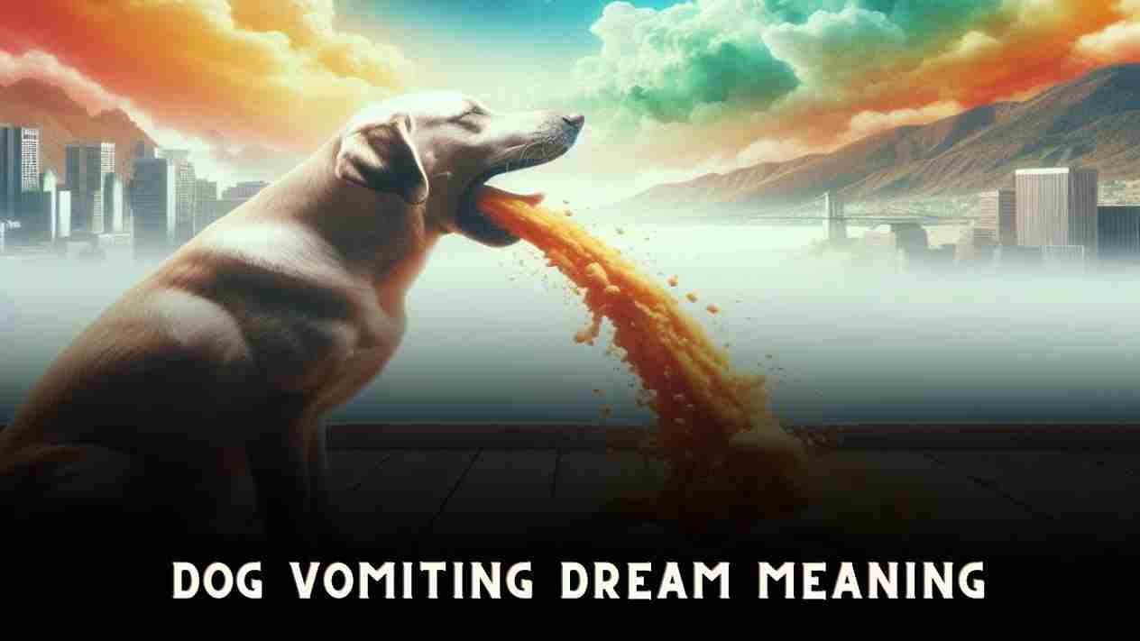 dog vomiting dream meaning