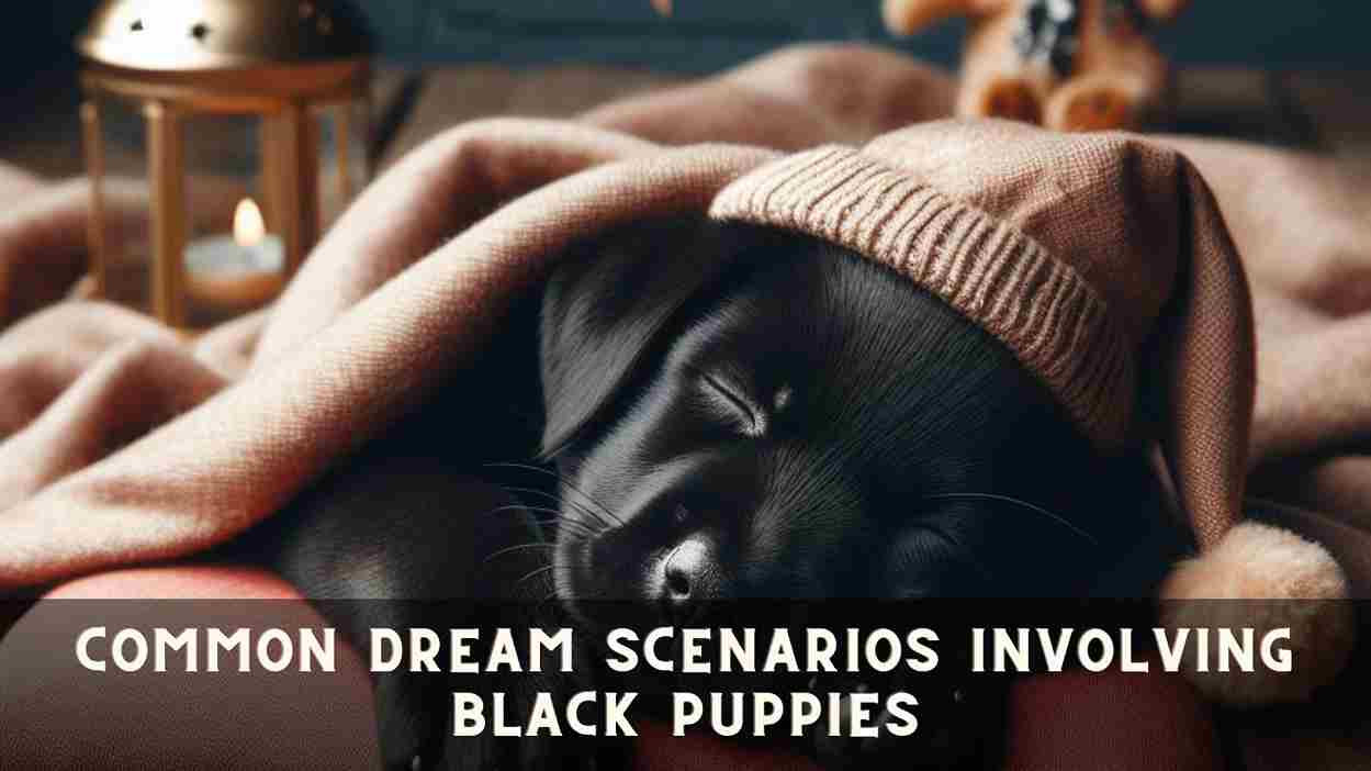 Common Dream Scenarios Involving Black Puppies