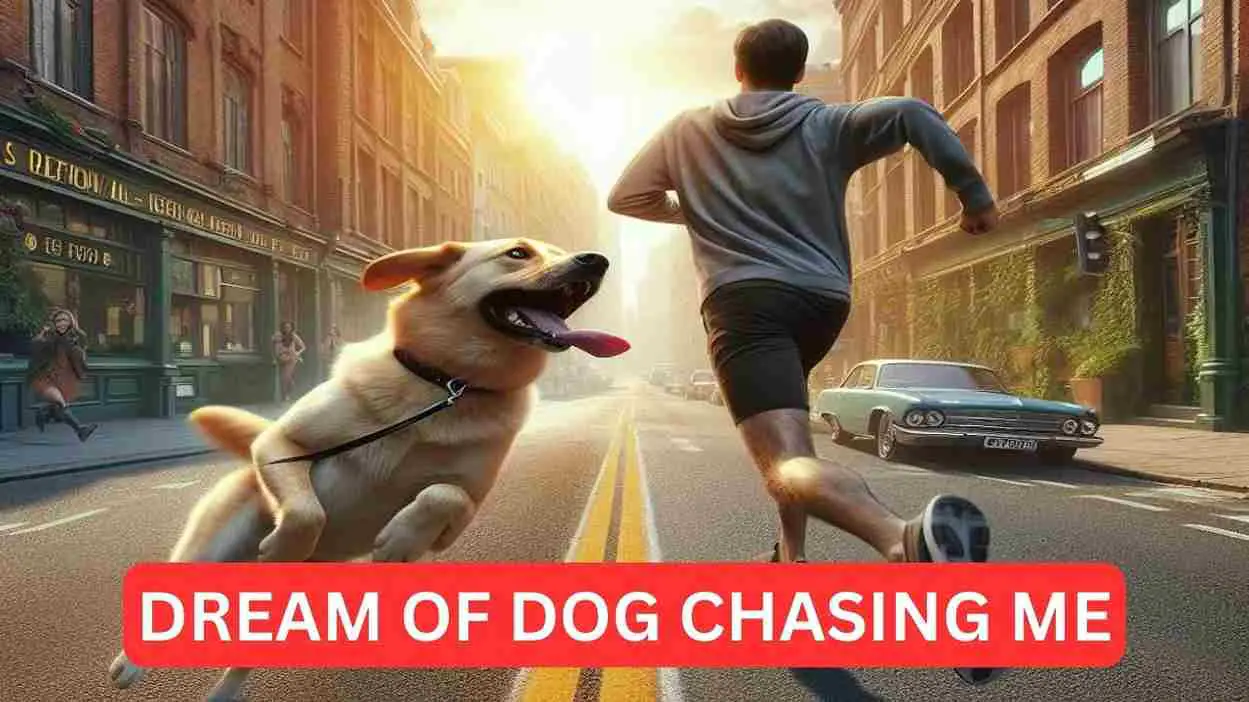 DREAM OF DOG CHASING ME