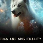 Dogs and Spirituality