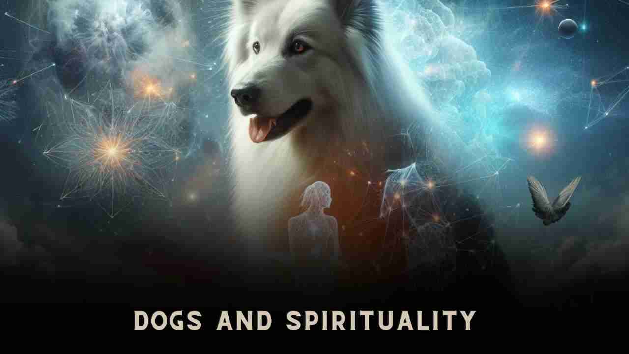 Dogs and Spirituality