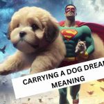 carrying a dog dream meaning
