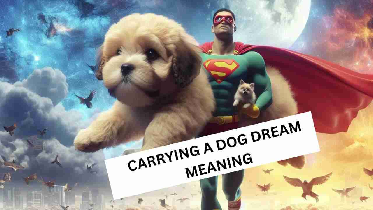 carrying a dog dream meaning