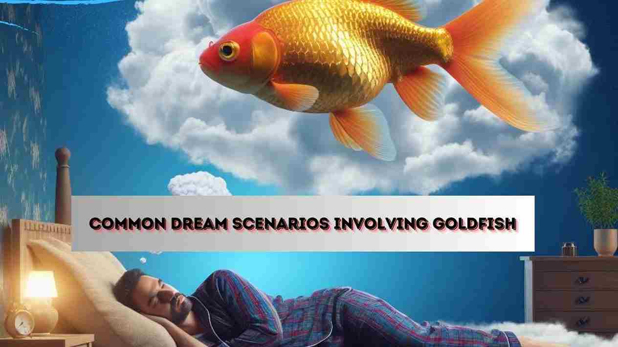 Common Dream Scenarios Involving Goldfish