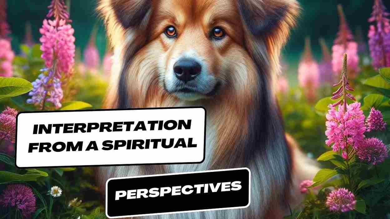 Interpretation from a Spiritual Perspective