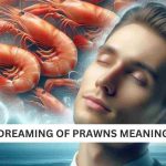 dreaming of prawns meaning