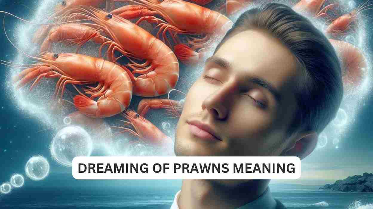 dreaming of prawns meaning