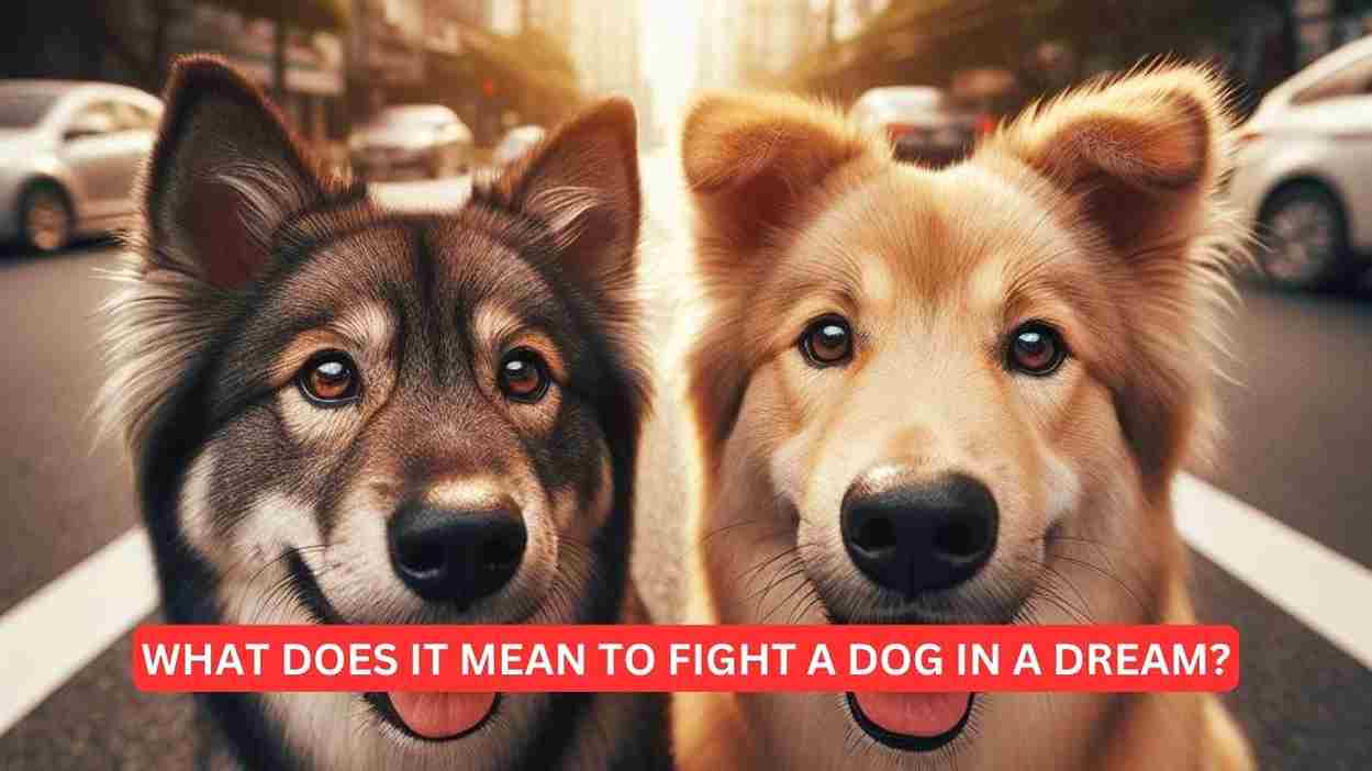 What Does it Mean to Fight a Dog in a Dream?