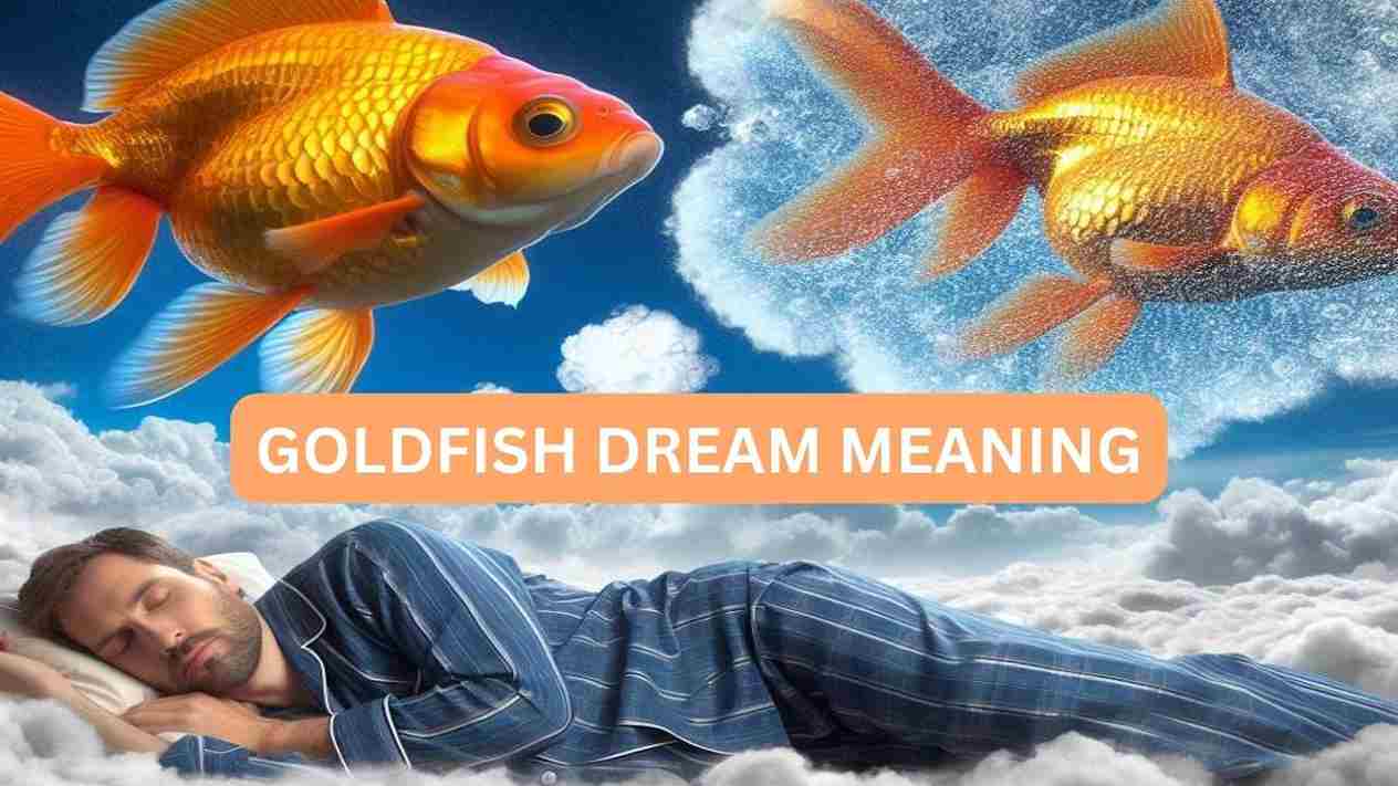 goldfish dream meaning