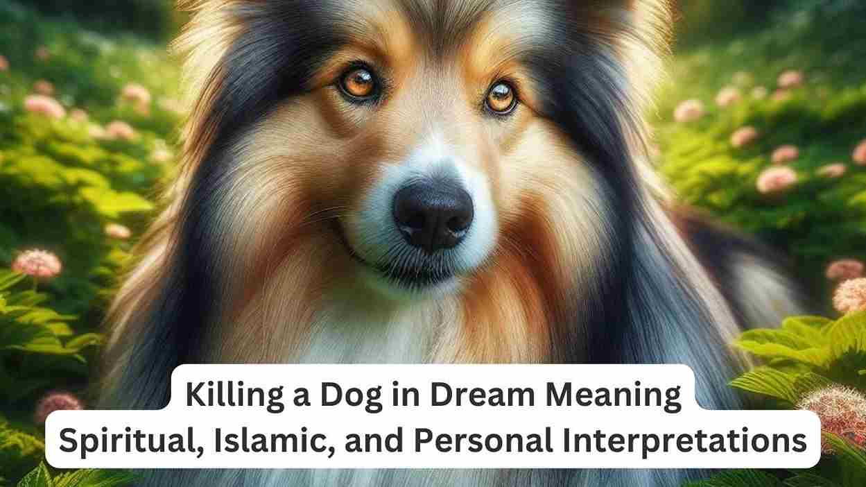 killing dog in dream meaning