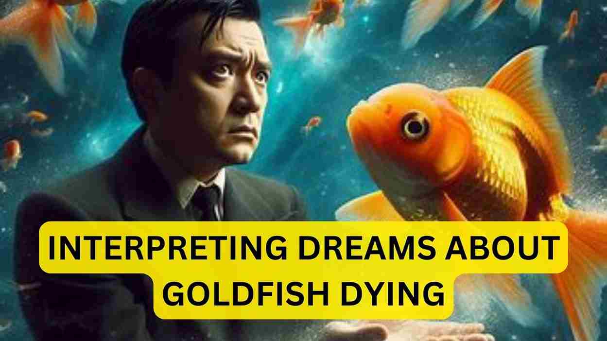 Interpreting Dreams about Goldfish Dying